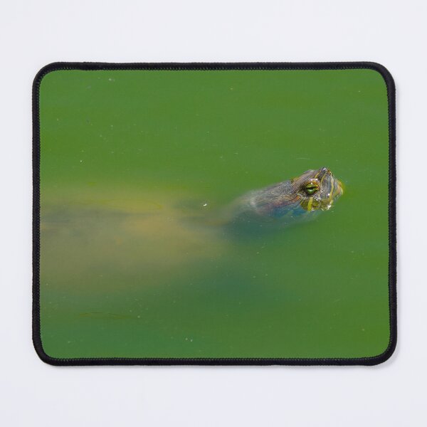 Item preview, Red Eared Slider designed and sold by Ralph Goldsmith.