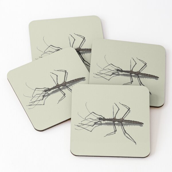 Item preview, Stick insect designed and sold by Anke  Haisch.