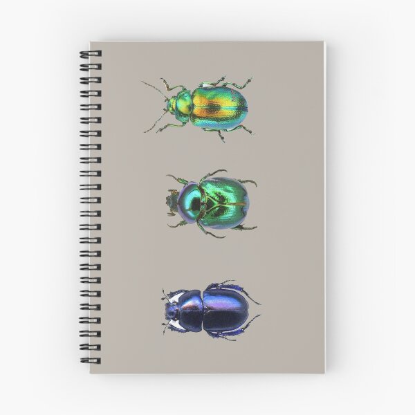 Item preview, multiple beetle stickers designed and sold by Kajzu.