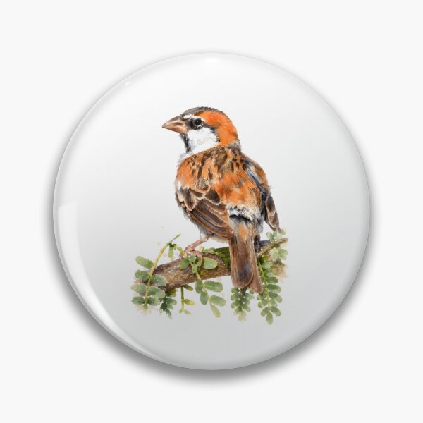 Item preview, Cape Verde Sparrow (Passer iagoensis designed and sold by HOMETOWN86.