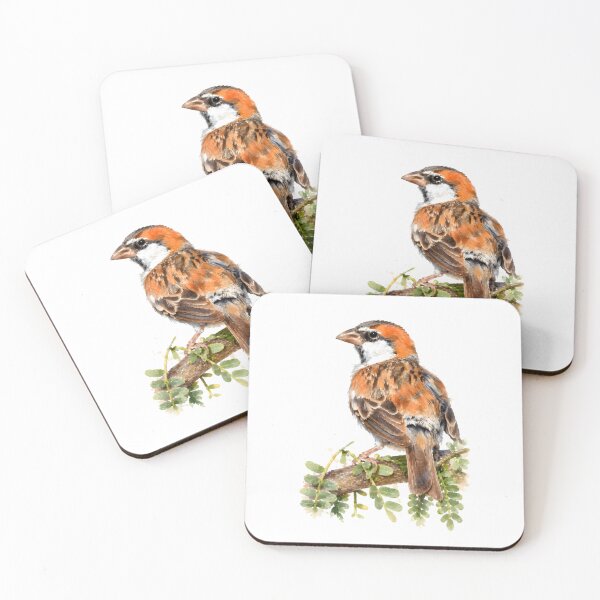 Item preview, Cape Verde Sparrow (Passer iagoensis designed and sold by HOMETOWN86.