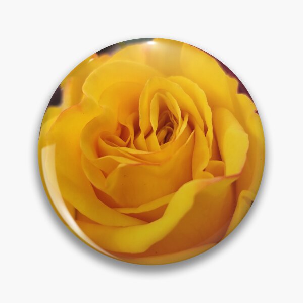 Item preview, Vivid Yellow Rose Rosa Bloom Decorating Your Summer Garden designed and sold by vtspatial.