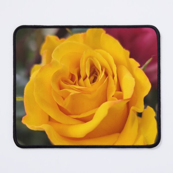 Item preview, Vivid Yellow Rose Rosa Bloom Decorating Your Summer Garden designed and sold by vtspatial.