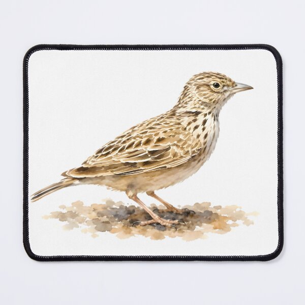 Item preview, Raso Lark (Alauda razae) designed and sold by HOMETOWN86.