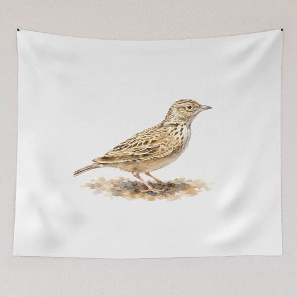 Item preview, Raso Lark (Alauda razae) designed and sold by HOMETOWN86.