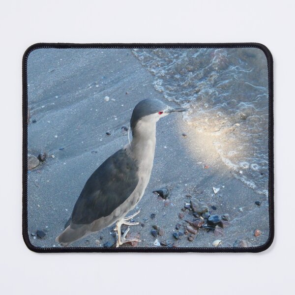 Item preview, Black Crowned Night Heron designed and sold by Malcolm Snook.
