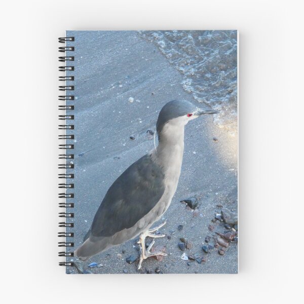 Item preview, Black Crowned Night Heron designed and sold by Malcolm Snook.