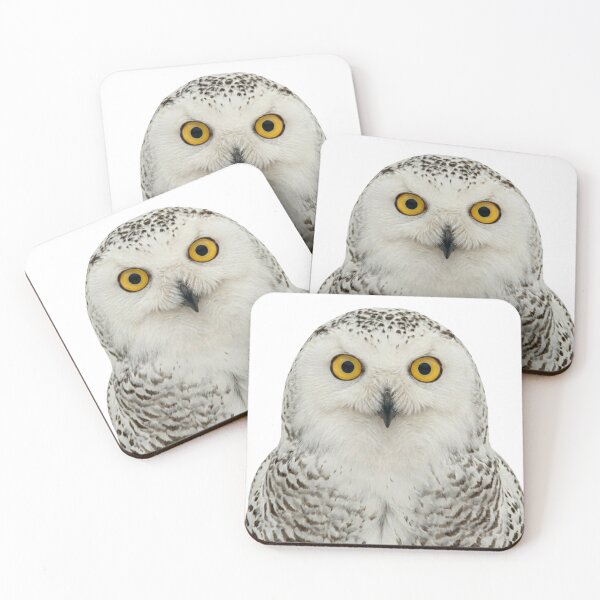 Item preview, Snowy Owl Close Up Wildlife Portrait designed and sold by ovidiuboc.
