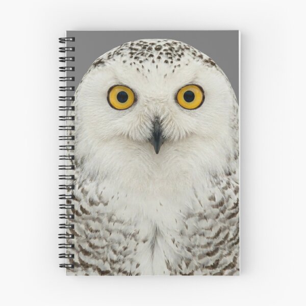 Item preview, Snowy Owl Close Up Wildlife Portrait designed and sold by ovidiuboc.