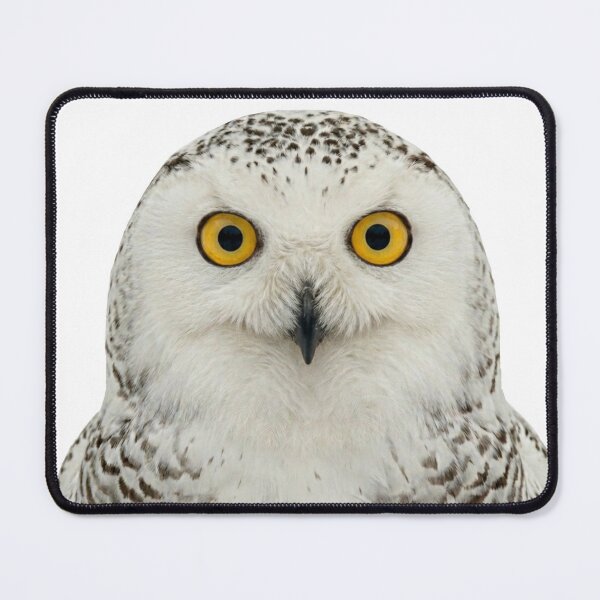 Item preview, Snowy Owl Close Up Wildlife Portrait designed and sold by ovidiuboc.