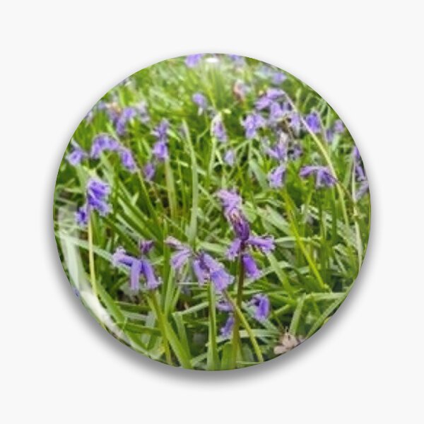 Item preview, Bluebell Woods Surrey | British Spring Woodland Print designed and sold by ThatSurreyLife.