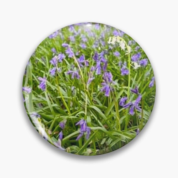 Item preview, Bluebell Woodland In Surrey | Spring Wildflower Photography designed and sold by ThatSurreyLife.