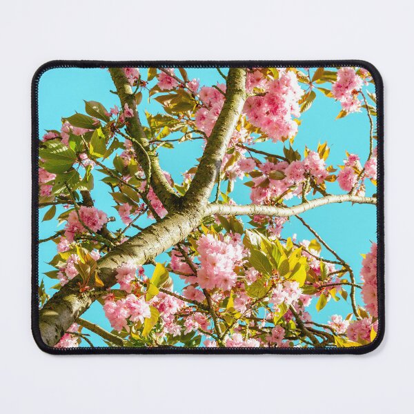 Item preview, cherry trees in bloom 04 designed and sold by graziegranata.