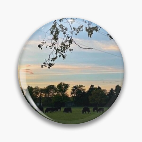 Item preview, Countryside Cattle At Sunset | Rural Surrey Photography designed and sold by ThatSurreyLife.