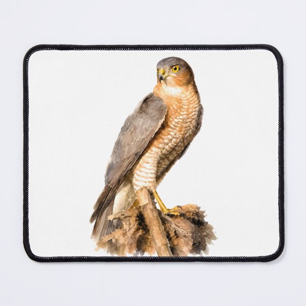 Item preview, Eurasian Sparrowhawk (Accipiter nisus) designed and sold by HOMETOWN86.