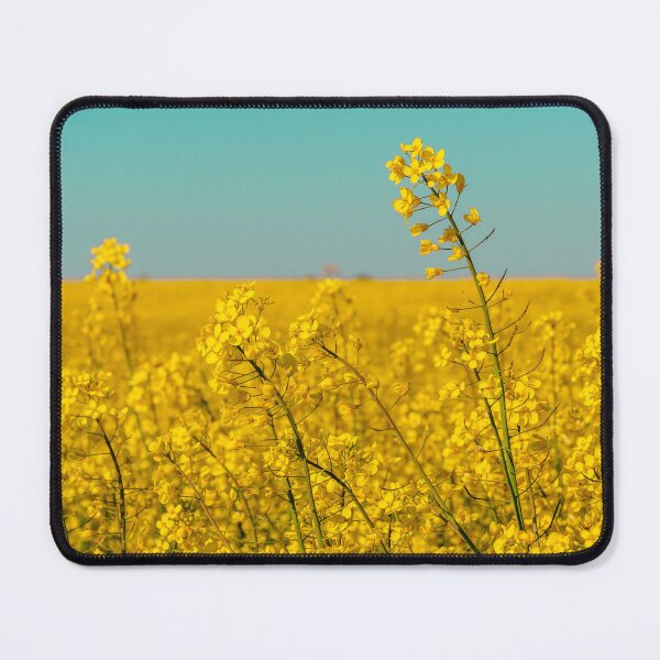 Item preview, canola fields under the sun 06 designed and sold by graziegranata.