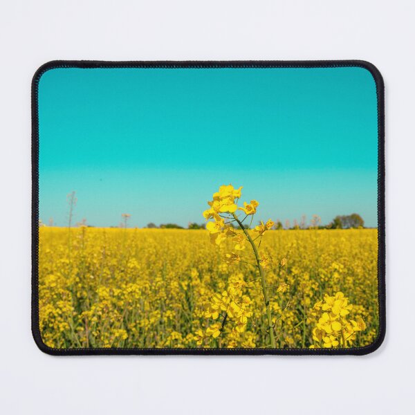 Item preview, canola fields under the sun 07 designed and sold by graziegranata.