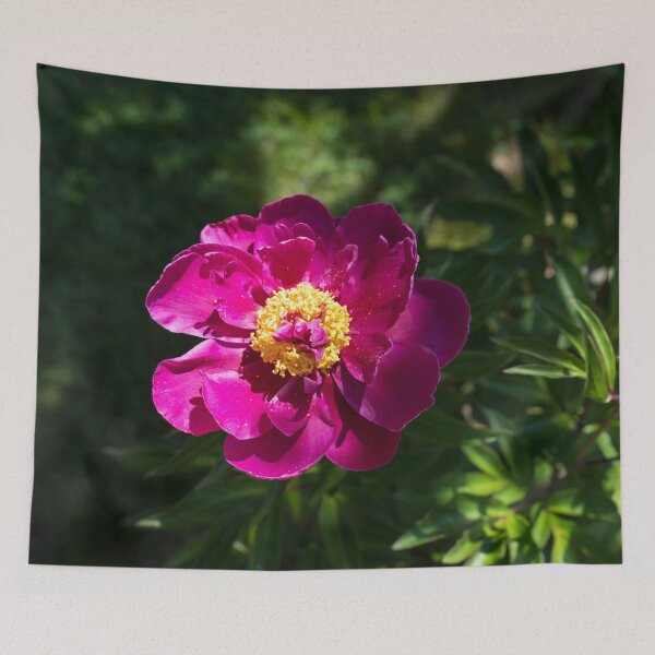 Item preview, Juicy Magenta Peony in the Sunlight designed and sold by Georgia Mizuleva.