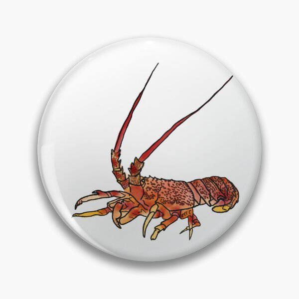 Item preview, Tasmanian Rock Lobster Illustration | Coastal Marine Life Art designed and sold by Bound for Wonder.