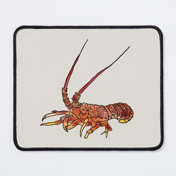 Item preview, Tasmanian Rock Lobster Illustration | Coastal Marine Life Art designed and sold by Bound for Wonder.