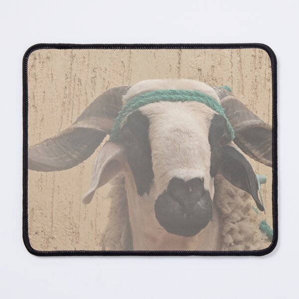 Item preview, Sheep of aid morrocan adha designed and sold by Matari-matari.