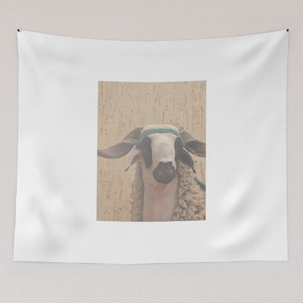 Item preview, Sheep of aid morrocan adha designed and sold by Matari-matari.