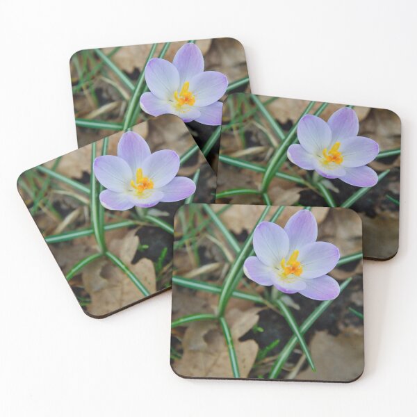 Item preview, Single Purple Crocus With Striped Leaves designed and sold by ShotsbyDesiree.