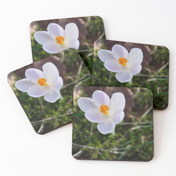 Item preview, White Crocus Flower designed and sold by ShotsbyDesiree.