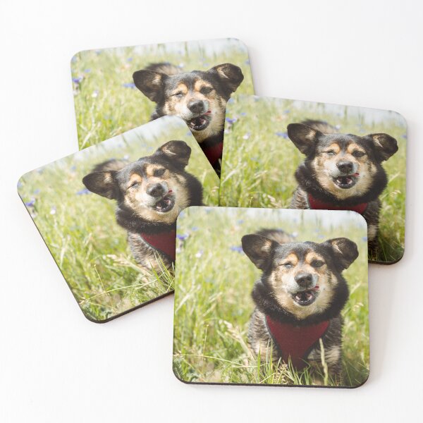 Item preview, Happy Summer Dog designed and sold by alicjamiekina.