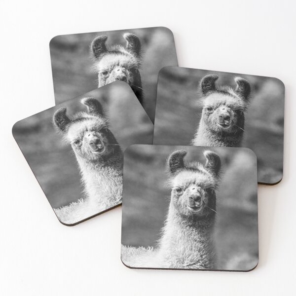 Item preview, Portrait of a Smiling Llama in Black and White – Wildlife Photography, Andes, Salta, Argentina, Puna designed and sold by Keltoi-art.