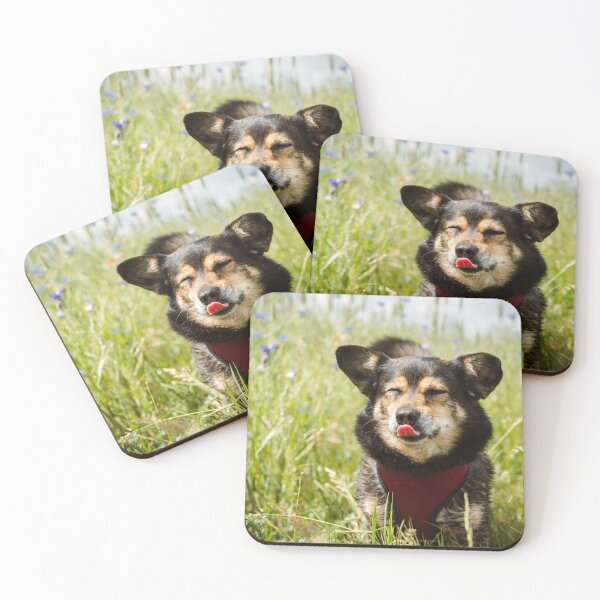 Item preview, Current Mood: Happy Summer Dog designed and sold by alicjamiekina.
