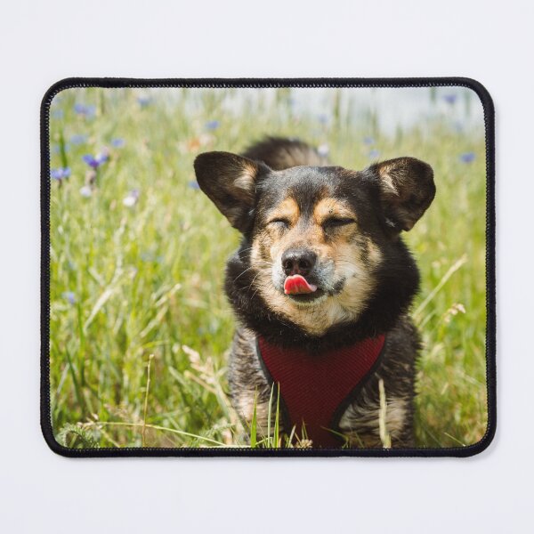 Item preview, Current Mood: Happy Summer Dog designed and sold by alicjamiekina.