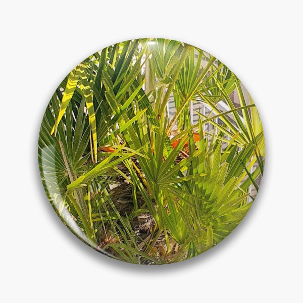 Item preview, palmtree designed and sold by Tereza Pilar  Art.