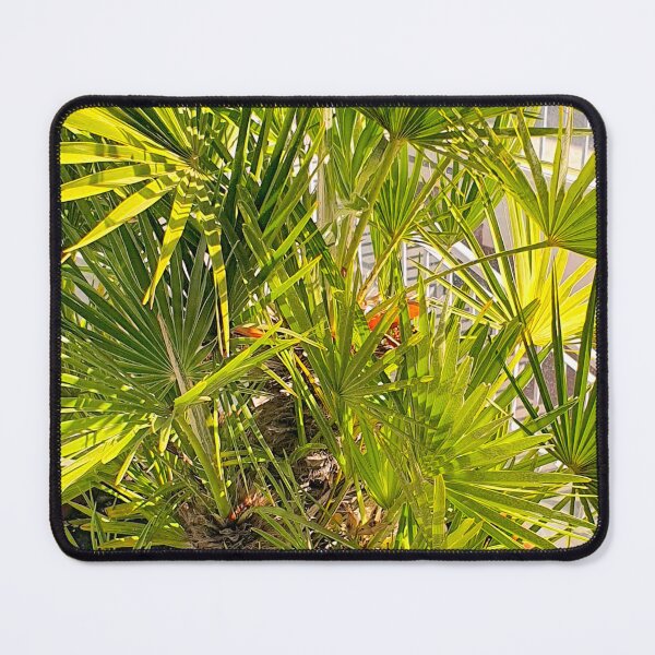 Item preview, palmtree designed and sold by Tereza Pilar Art.