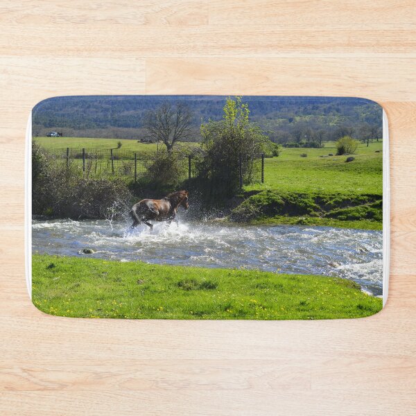 Aperçu de l'œuvre Un cheval traverse une rivière créée et vendue par XaviFotografia.