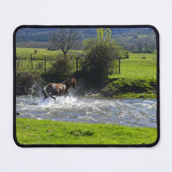 Item preview, Horse crossing a river designed and sold by XaviFotografia.