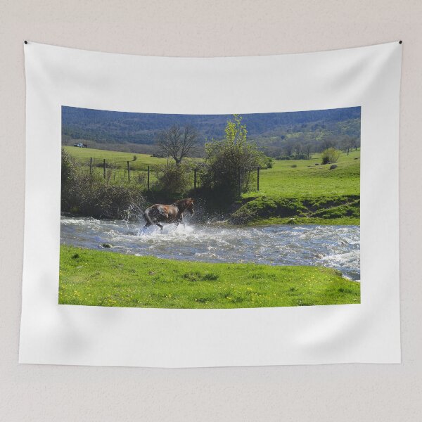 Item preview, Horse crossing a river designed and sold by XaviFotografia.