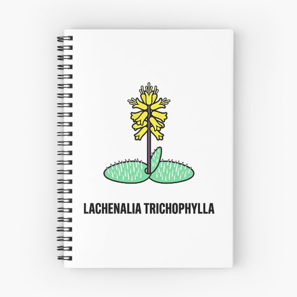 Item preview, Minimalist Heart Cactus Opuntia Basilaris Botanical Vector Art designed and sold by GreenDivisionJP.
