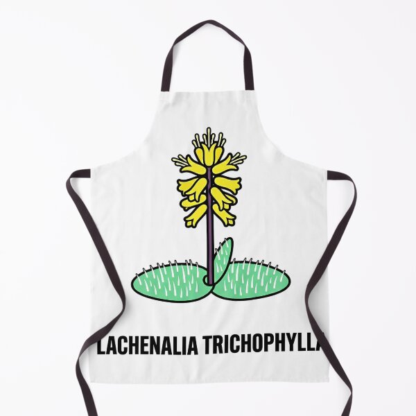 Item preview, Minimalist Heart Cactus Opuntia Basilaris Botanical Vector Art designed and sold by GreenDivisionJP.