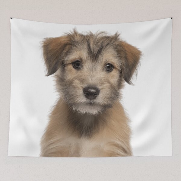 Item preview, Adorable Glen of Imaal Terrier puppy for Cute Glen puppy lovers designed and sold by LazyOwlStore.