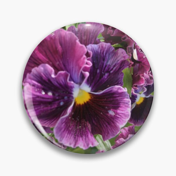 Item preview, Purple Violets designed and sold by ReelMe.
