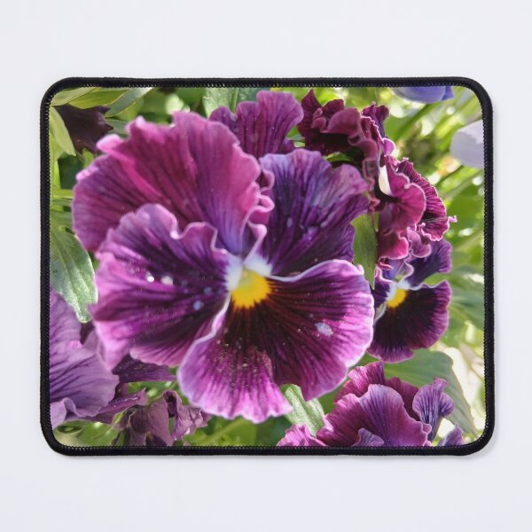 Item preview, Purple Violets designed and sold by ReelMe.