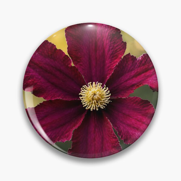 Item preview, Velvet Clematis Bloom designed and sold by Violafleurviolett.