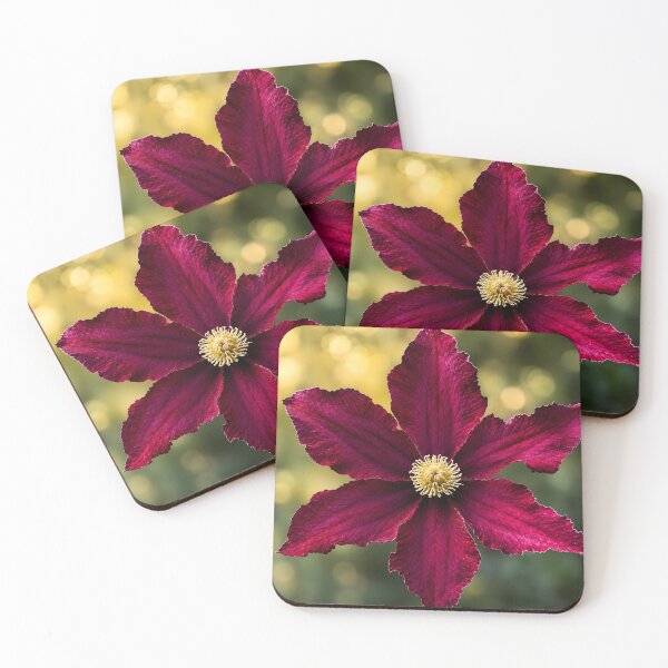 Item preview, Velvet Clematis Bloom designed and sold by Violafleurviolett.