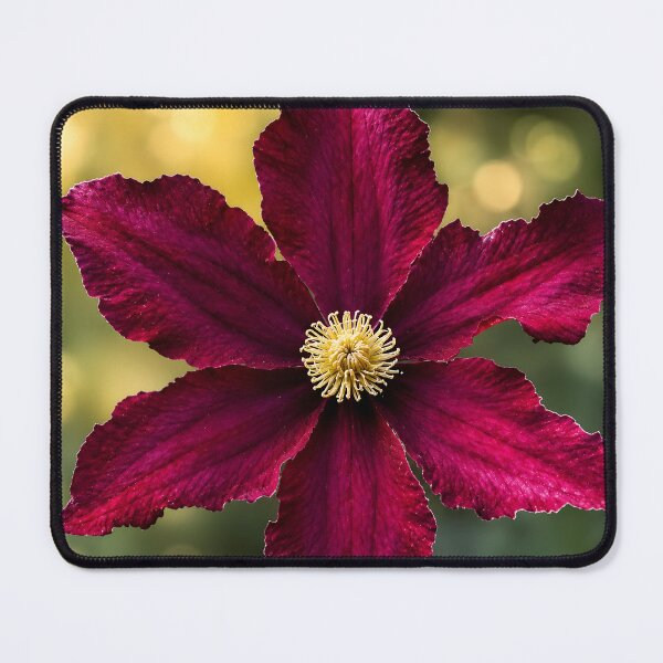 Item preview, Velvet Clematis Bloom designed and sold by Violafleurviolett.
