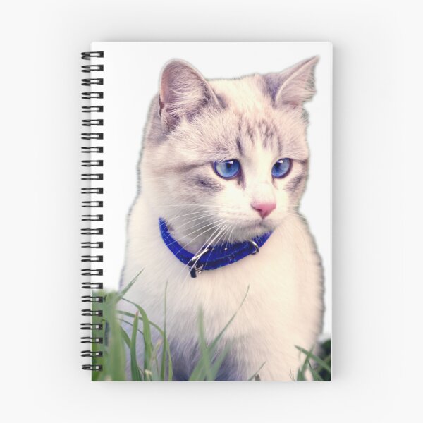 Item preview, Cute kitten cats designed and sold by Tramontane Designs.