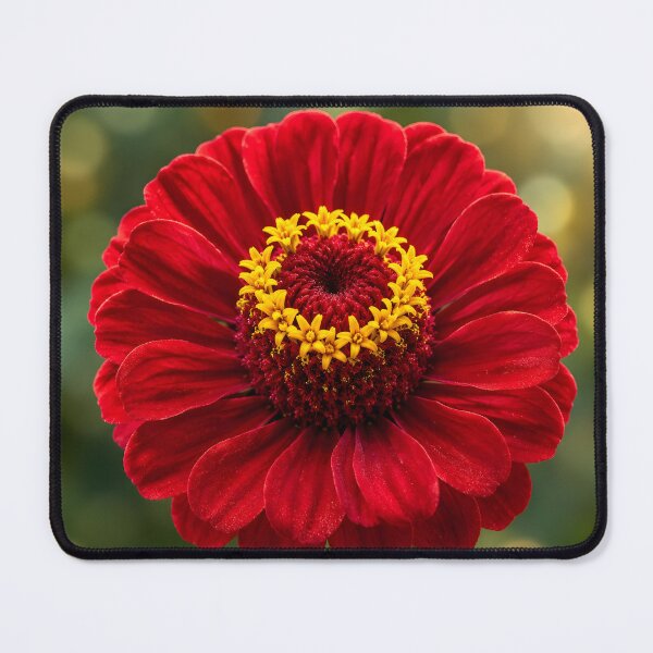 Item preview, Luxury Botanical Serenity – Scarlet Zinnia designed and sold by Violafleurviolett.