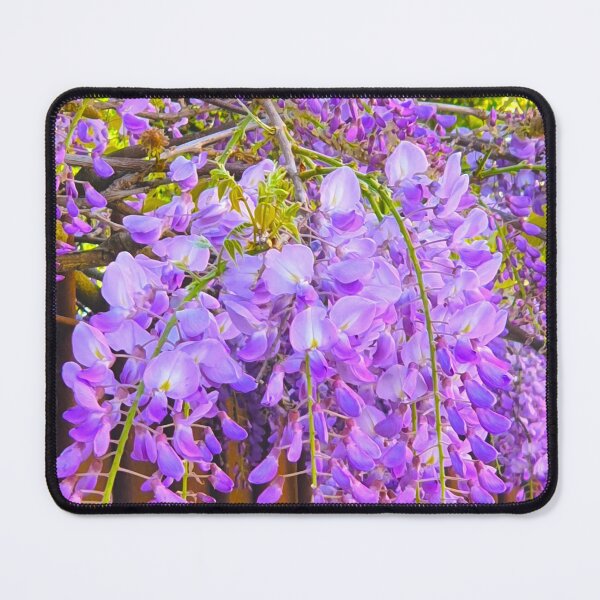 Item preview, Wisteria. Glicínias designed and sold by Tereza Pilar  Art.