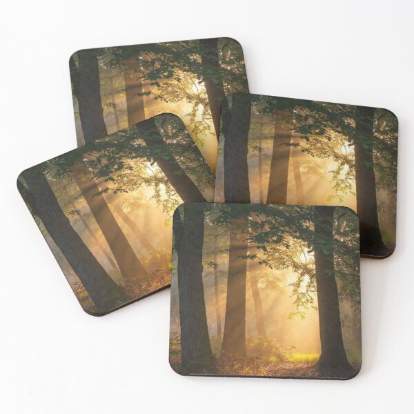 Item preview, Misty Forest Golden Sunbeams | Serene Nature Landscape Art designed and sold by Trail Echo Prints.