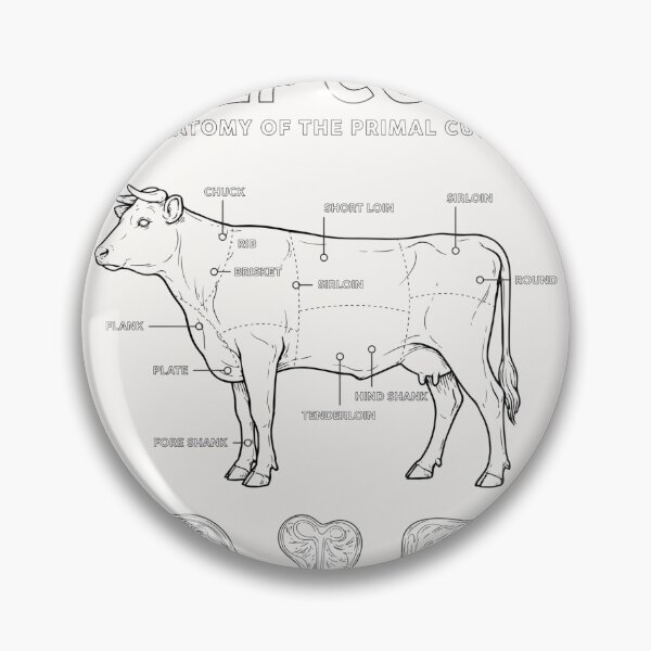 Item preview, Beef Cuts Anatomy Design designed and sold by Malaryk.